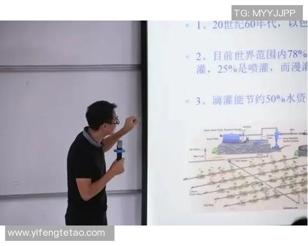 深度探讨陈芳在和平精英中的成长与人生哲学